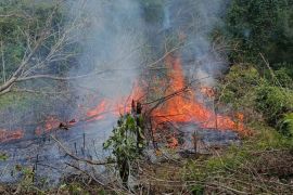 Jepang kirim kapal Kunisaki bantu padamkam karhutla di Indonesia