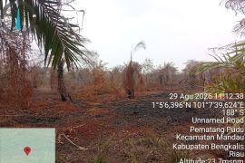 Pemilik kebun sawit di Bengkalis jadi tersangka pembakar lahan