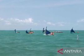 Festival Perahu Layar miliki potensi pariwisata daerah