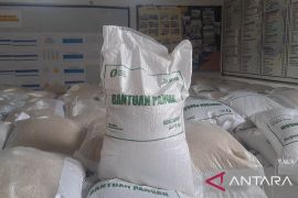 Penerima bantuan pangan di Pulau Bangka bertambah 12.000 jadi 117.198 PBP