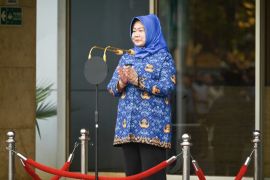 Plt Sekjen MPR: Demokrasi tak pernah selesai, harus terus beradaptasi