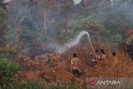 Polres Bangka Tengah tangani karhutla 20 hektare di Tanjung Pura