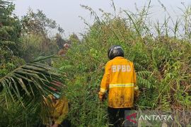 Tim gabungan padamkan karhutla 6 hektare di Samarinda