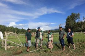 BRMP Aceh monitoring program strategis Kementan di Gayo Lues