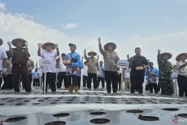 Pemkab Sumedang menggandeng akademisi kembangkan bibit bawang putih