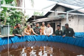 PLN UIP KLB dorong produktivitas pembudidayalele melalui electrifying aquaculture