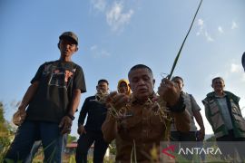 Kota Palu kembangkan komoditas hortikultura untuk jaga ketersediaan pangan