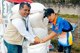 Bulog Rejang Lebong serap 2.200 ton gabah petani hingga Agustus 2026
