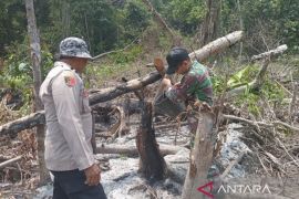 Polda Kaltim tetapkan 9 tersangka karhutla
