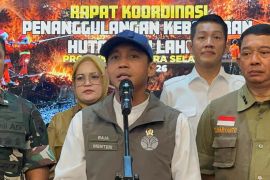 Indonesia's firefighting efforts hit by fires in national parks