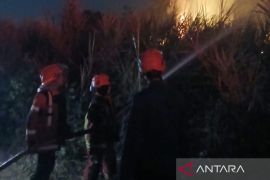 BPBD Cianjur menangani 35 karhutla sepanjang Juli-Agustus 2026