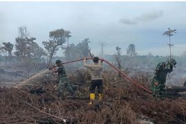 Tim gabungan berupaya padamkan karhutla lahan gambut di Aceh Selatan