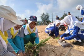 PT Timah - Pemkab Bangka Barat tanam ratusan pohon endemik