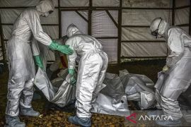 Ebola di Kongo meningkat jadi 6.100 kasus