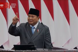 Presiden perintahkan sanksi tegas tambang ilegal rugikan negara