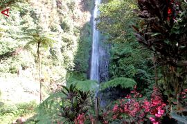 Air Terjun Tancak jadi destinasi favorit pendaki pemula di Jember
