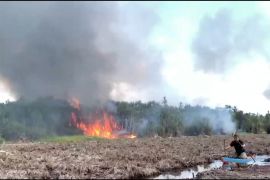 Hadapi El Nino, pemerintah tingkatkan mitigasi karhutla
