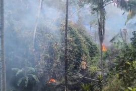 Kemarau meluas di Sulteng, BMKG ingatkan risiko karhutla
