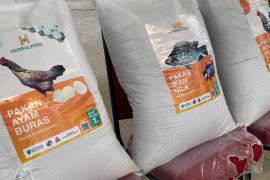 Industri pakan ternak Kaltim manfaatkan bahan baku bungkil sawit