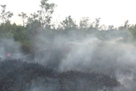 Pemadaman karhutla di Palangka Raya terkendala minimnya sumber air