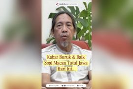 Kabar buruk & baik soal macan tutul jawa hari ini