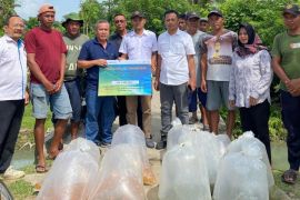 Dari lapangan kerja hingga penguatan usaha, Kebun Bah Jambi perkuat ekonomi warga Simalungun