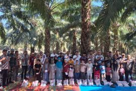Selama 2 Tahun, lebih Rp 700 Juta disalurkan Kebun Sosa PTPN IV Regional 2 untuk warga Padang Lawas