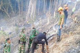 Pemprov Sulteng instruksikan kesatuan pengelolaan hutan masif edukasi cegah karhutla