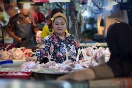 BI, government strengthen joint strategy to tame food inflation