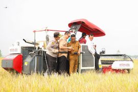 Metode PM-AAS disebut dongkrak panen padi di Banten