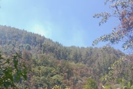 Penanganan terpadu membuat karhutla di Gunung Latimojong melandai