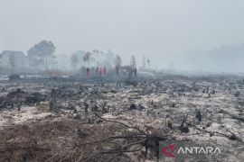Menhut soroti lonjakan hotspot, Kalbar dan Kalteng masuk zona prioritas