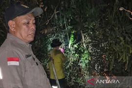 Plt Kadishut Kaltim turut padamkan karhutla Tahura Bukit Soeharto
