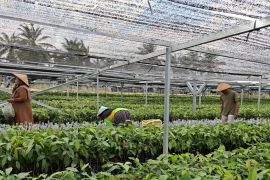 NTP Lampung naik 1,64 persen di Agustus 2026