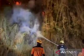 Karhutla di Enrekang hanguskan 207 hektare lahan