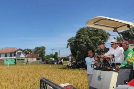 Pemkab Bandung membidik 24.200 hektare sawah jadi LP2B guna lindungi pertanian