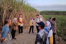 Pembangunan Sekolah Rakyat Tulungagung disesuaikan jalur SUTET