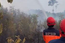 Tiga hektare lahan terbakar di Desa Tenam, Kabupaten Batang Hari