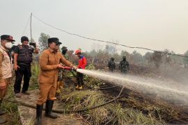Bupati Kubu Raya dorong penegakan hukum kasus karhutla