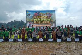 Pulau Simeulue jadi lokasi Gerakan Tanam Serempak Nasional