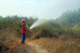 Pelindo Sub Regional Kalimantan, Antisipasi Karhutla di Area Pelabuhan Basirih