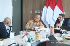 Kemenekraf gandeng Viu kembangkan talenta berskala global