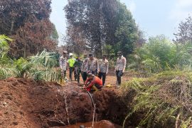 30 hektare lahan di TN Zamrud Siak terbakar, pemadaman dilakukan selama 7 hari