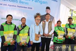 Menko dan Dirut Bulog tinjau penyaluran bantuan pangan di Sorong