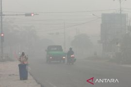 Asap tebal mulai selimuti Pangkalan Bun