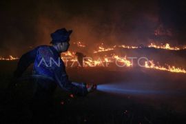 West, Central Kalimantan top priority as fire hotspots rise: Minister
