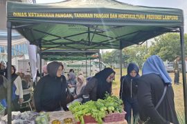 Total 1.000 bibit cabai telah dibagi di GPM