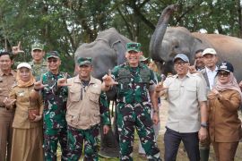 Menjaga jarak dengan gajah, melindungi penghidupan warga di Way Kambas