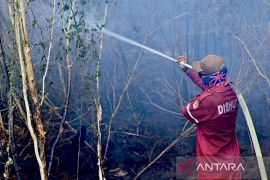 BMKG deteksi ada 1.299 titik panas di Kalimantan Selatan Rabu ini