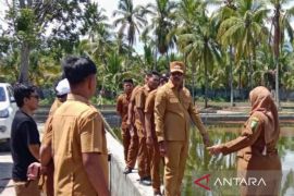 Bupati Madina usulkan rehabilitasi dua BBI untuk pulihkan produksi ikan